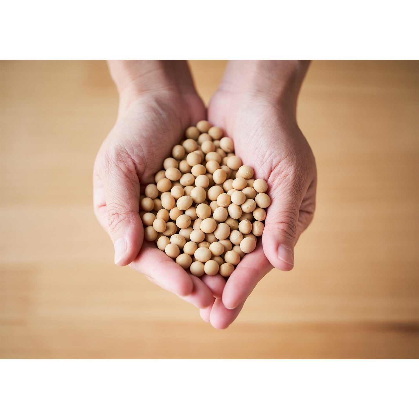 Hokkaido dried soybeans 1kg Toyomasa