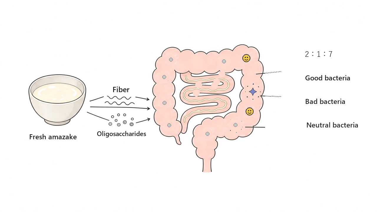 Illustration of the dietary fiber and oligosaccharides in fresh amazake becoming food for good bacteria