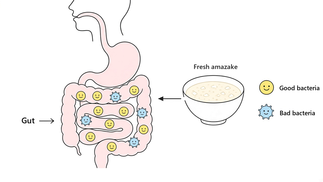 Illustration of immune cells gathering in the gut and keeping pathogens out