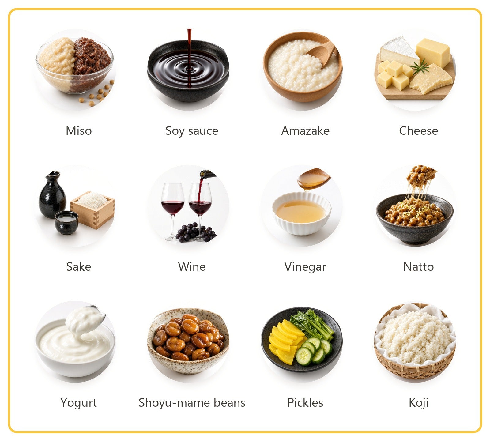 Miso, soy sauce, amazake, cheese, sake, wine, vinegar, natto, yogurt, soybeans in soy sauce, pickles, and koji