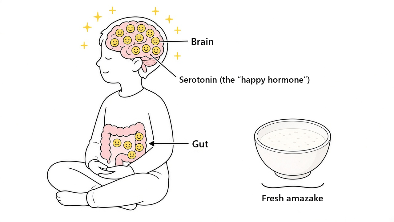 Illustration of the gut and brain connected, with serotonin steadying the mind