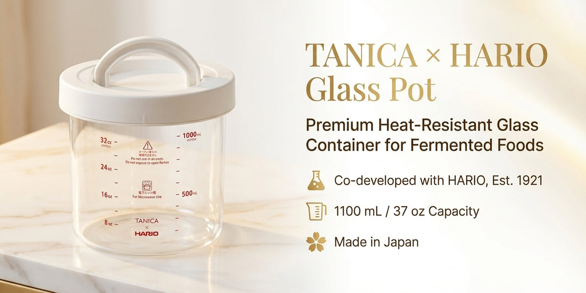 TANICA x HARIO Glass Pot for YOGURTiA Fermented Food Maker (1100 mL / 37 oz)