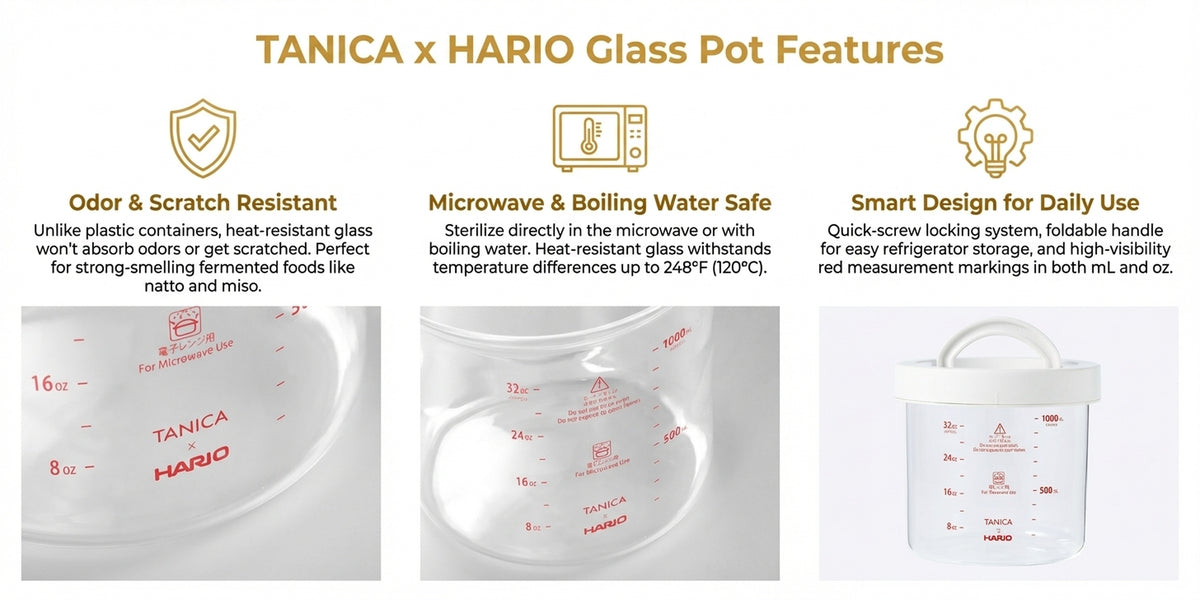 TANICA x HARIO Glass Pot for YOGURTiA Fermented Food Maker (1100 mL / 37 oz)
