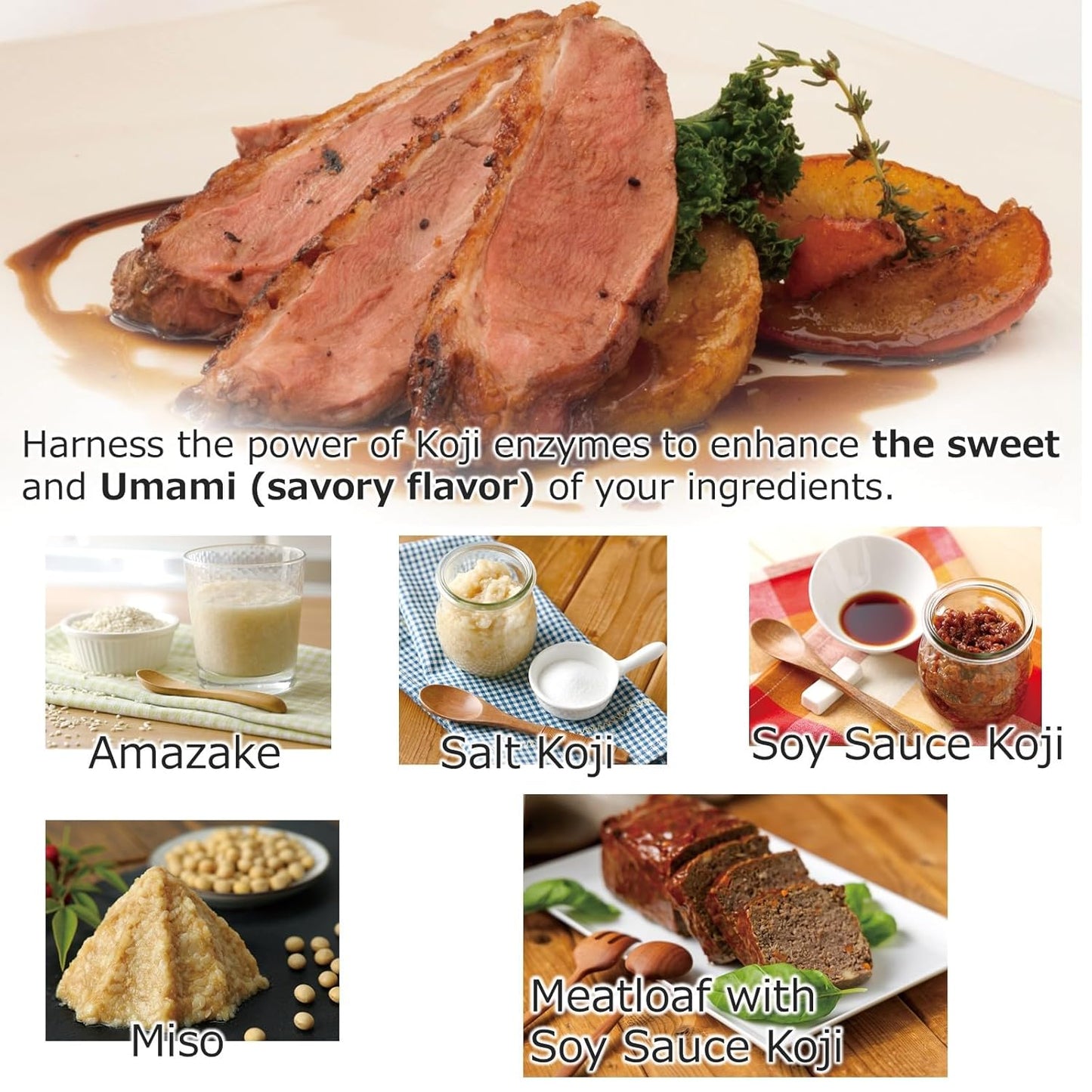 TANICA Rice Koji 500 g / 1.1 lbs for Miso, Amazake, Soy Source Koji (Fermented Food) made from 100% white rice grown in Japan YOGURTiA