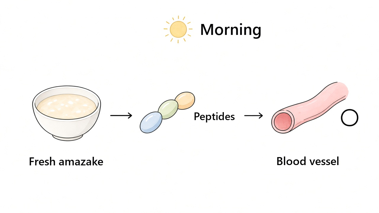 Illustration of the peptides in fresh amazake easing the constriction of blood vessels
