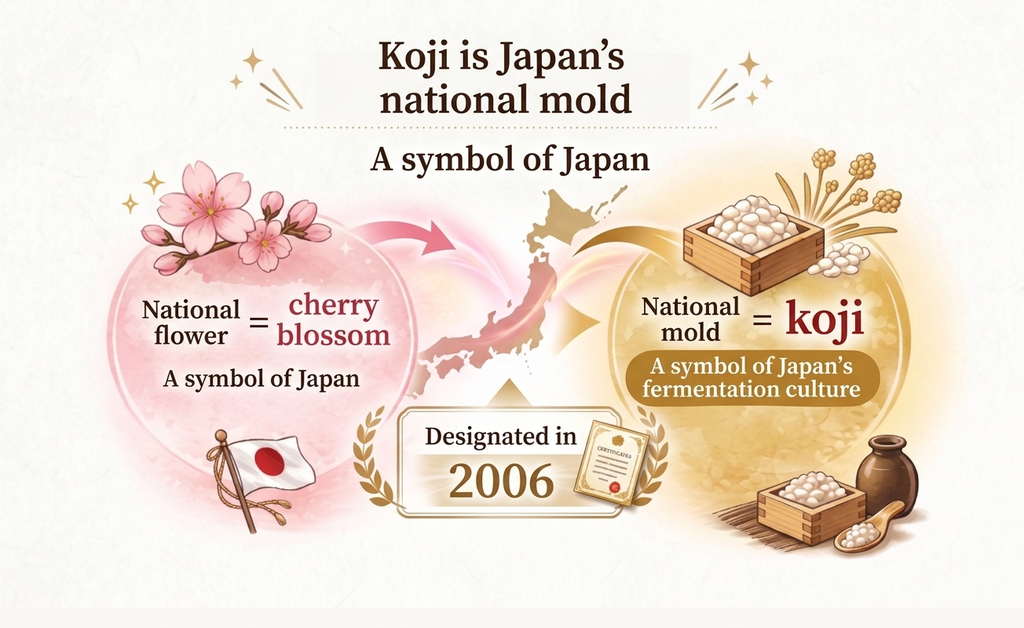 Koji is Japan’s national mold: the national flower is the cherry blossom, the national mold is koji (designated in 2006)