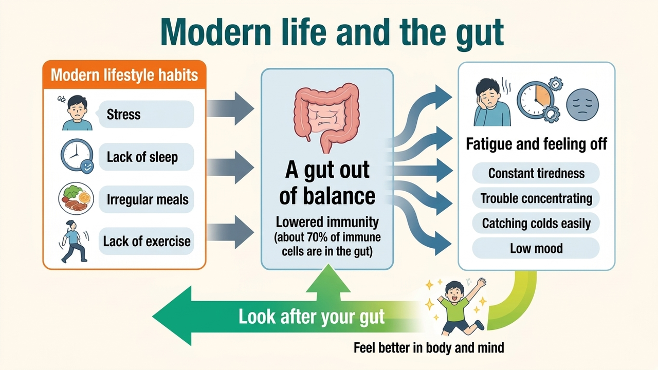 From modern lifestyle habits to a gut out of balance to chronic fatigue. Balancing the gut brings body and mind back into condition