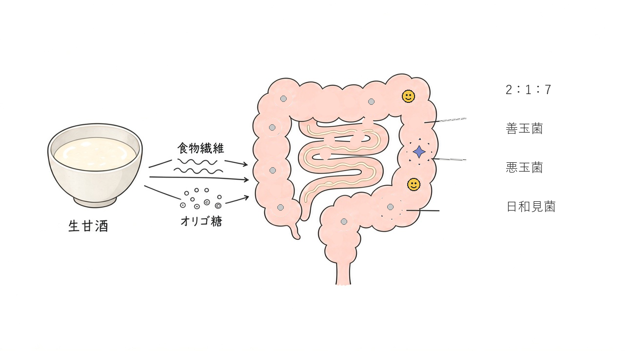 生甘酒の食物繊維とオリゴ糖が善玉菌のエサになるイメージ