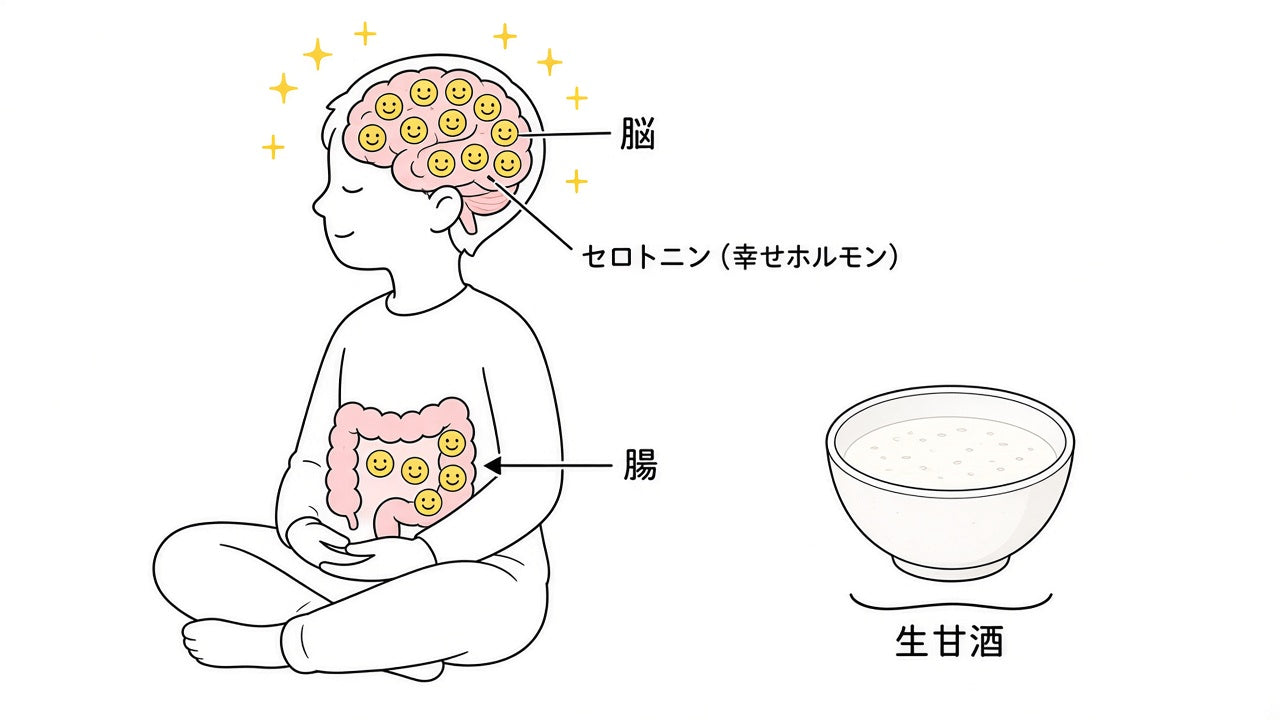 腸と脳がつながり、セロトニンで心が安定するイメージ