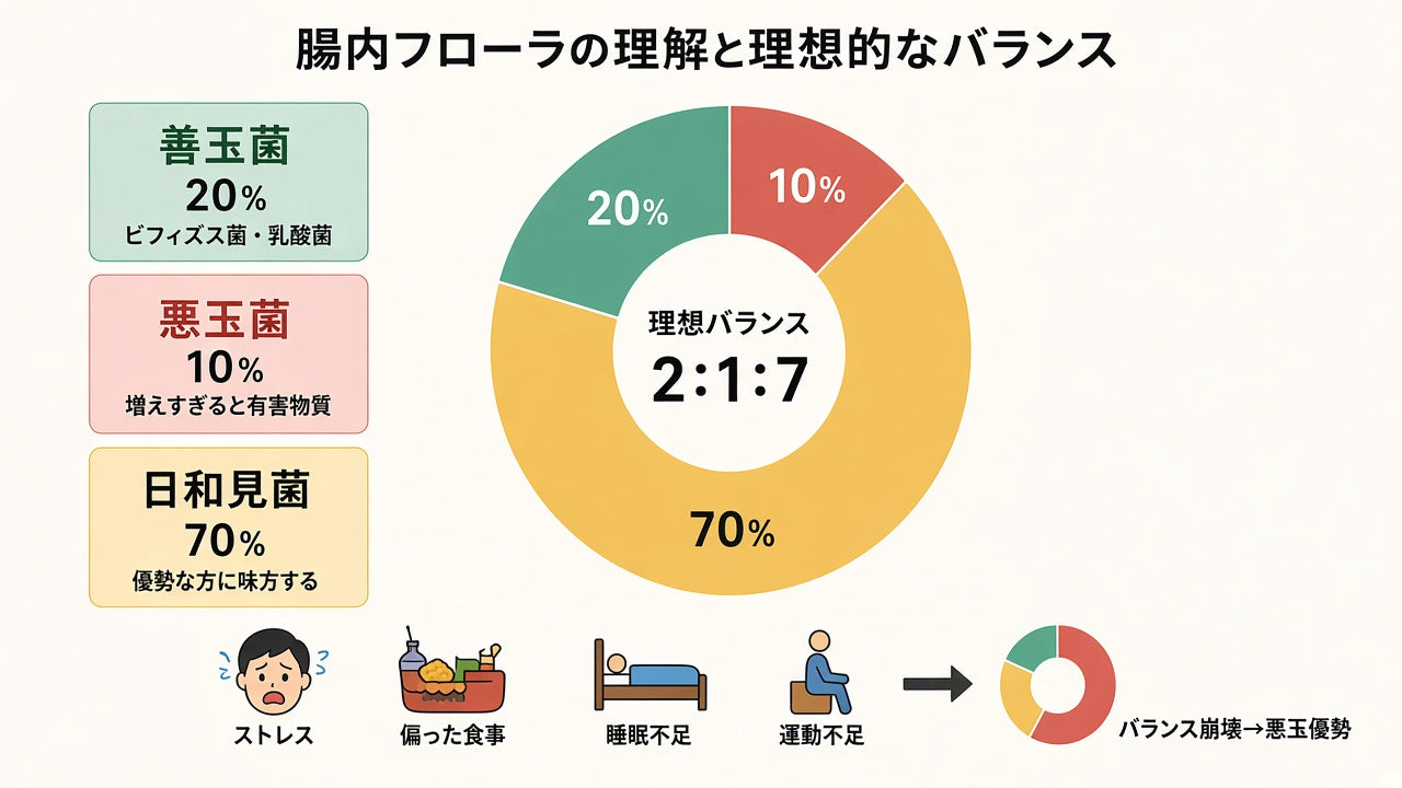 腸内フローラの理想バランスは 2：1：7。崩れると悪玉が優勢に
