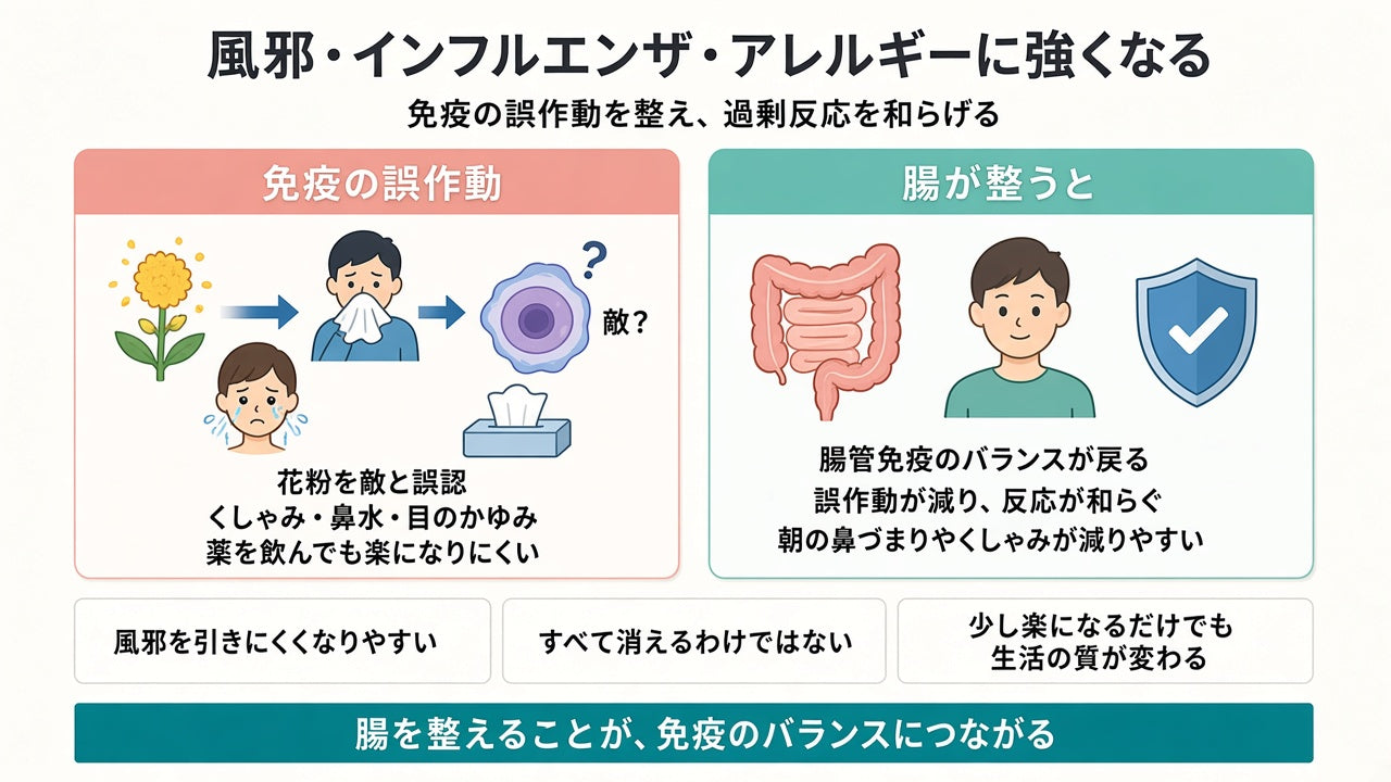 花粉は免疫の誤作動。腸が整うと反応が和らぎ、風邪にも強くなりやすい