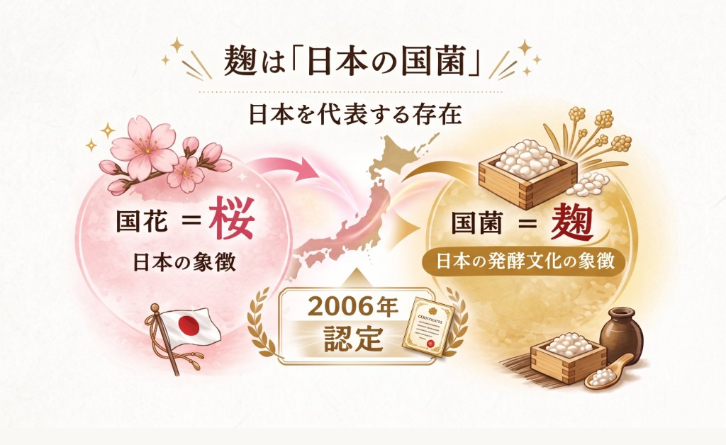 麹は「日本の国菌」— 国花＝桜、国菌＝麹（2006年認定）