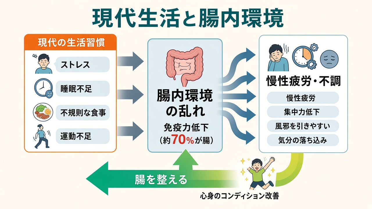 現代の生活習慣から腸内環境の乱れ、慢性疲労へ。腸を整えると心身のコンディションが戻る